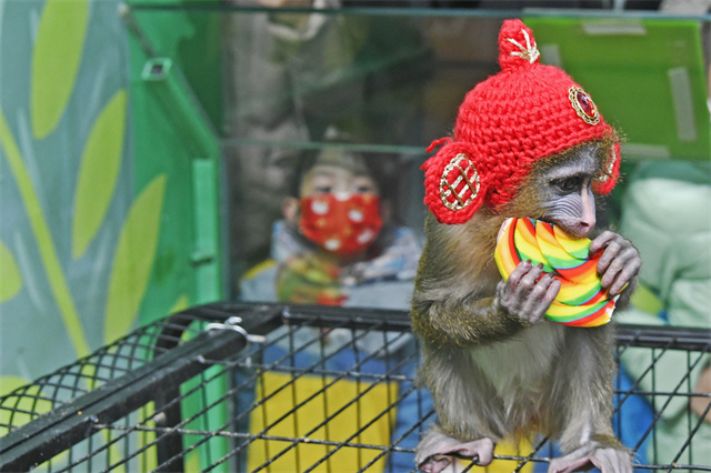 淹城野生動物世界虎年迎虎福