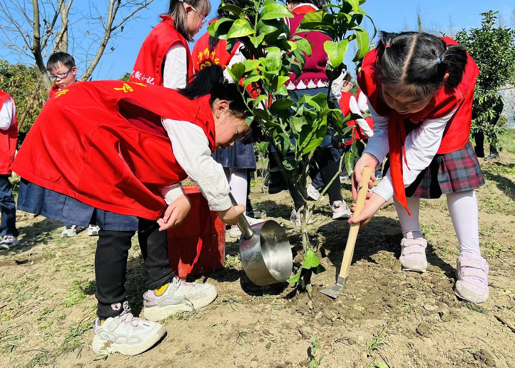 小学生志愿服务的照片图片