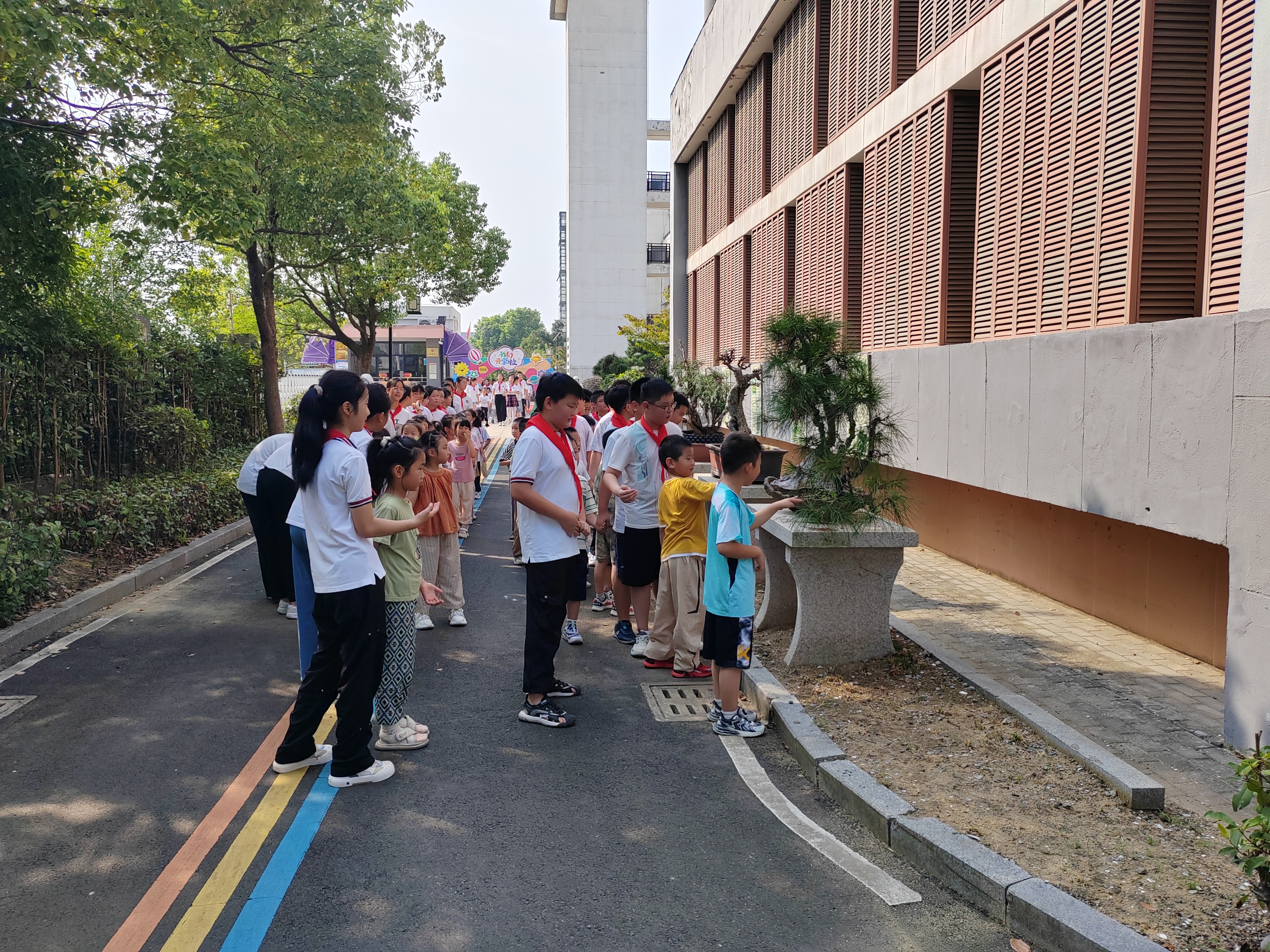 兴化新生小学图片